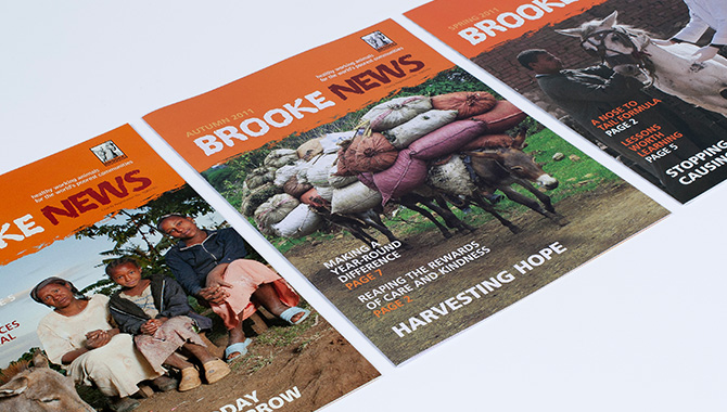 Branding, Graphic Design and Print by Fundamental Design in Bournemouth, Birmingham and London for The Brooke