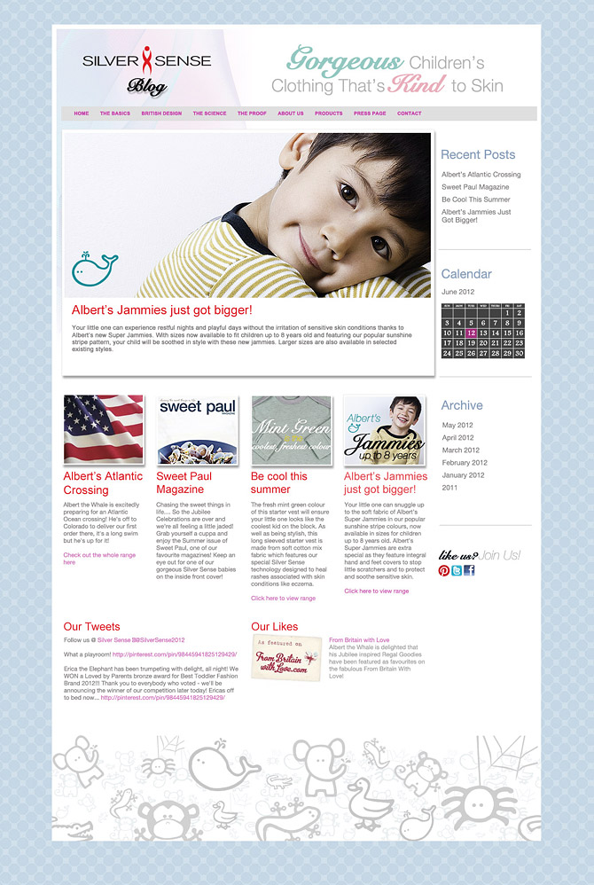 Branding, Graphic Design and Website by Fundamental Design in Bournemouth, Birmingham and London for Silver Sense